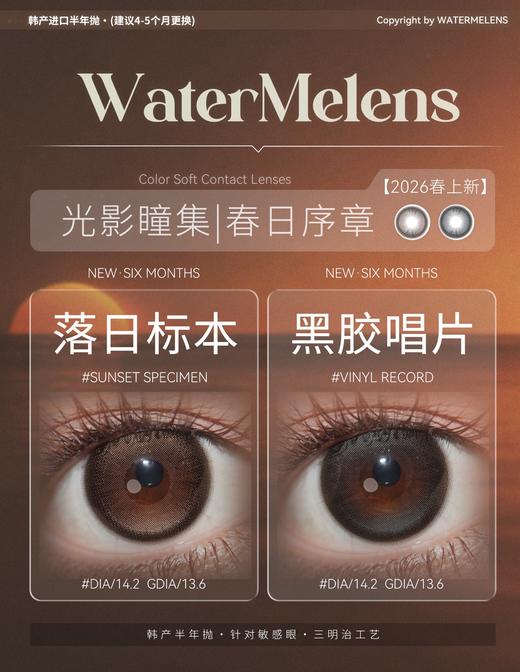 watermelens半年抛  落日标本/黑胶唱片 棕/黑灰 14.2mm 含硅水凝胶 商品图0