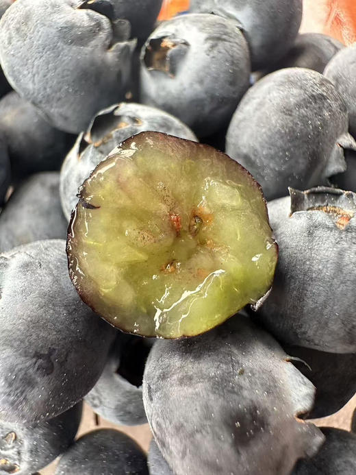 大美云南，风水宝地！仙湖滋养的仙湖恬蓝莓，生长在海拔2150米的【仙湖恬】比雪山恬还高1000米，第一批即将到京 商品图0