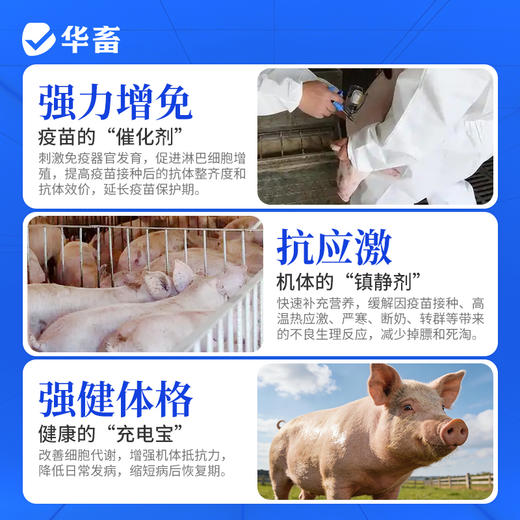 华畜免疫抗体 提升疫苗效价 缓解接种应激 双效抗氧化 商品图3