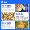 华畜免疫抗体 提升疫苗效价 缓解接种应激 双效抗氧化 商品缩略图5