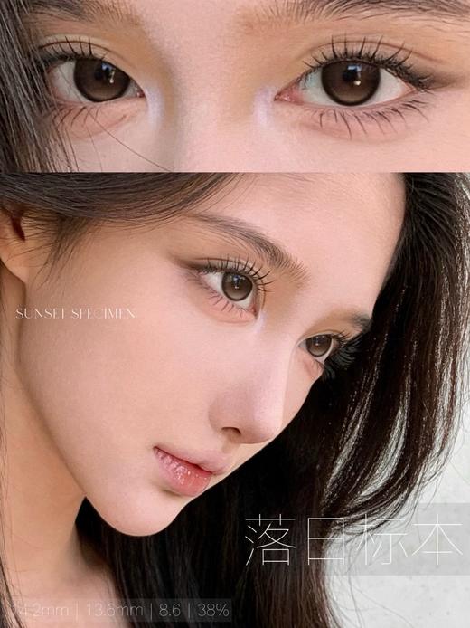 watermelens半年抛  落日标本/黑胶唱片 棕/黑灰 14.2mm 含硅水凝胶 商品图3