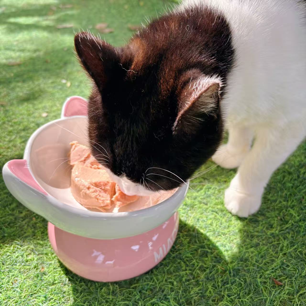 犬猫全价养护功能罐（85克/罐*6罐）