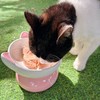 犬猫全价养护功能罐（85克/罐*6罐） 商品缩略图0