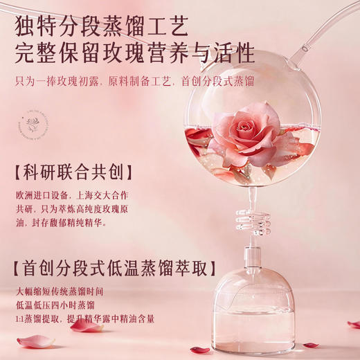 【新品买1送1】JOVISSE洁薇丝大马士革玫瑰纯露（玫瑰）*2瓶装 商品图4
