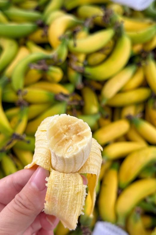 佳丽香蕉  II 3斤装（16-30个） 商品图1