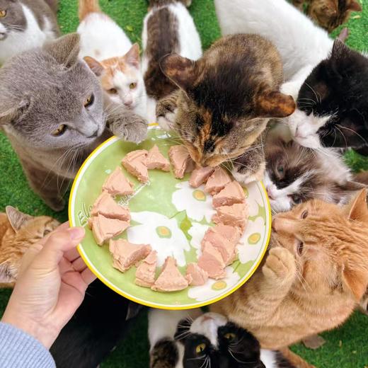 犬猫全价养护功能罐（85克/罐*6罐） 商品图3
