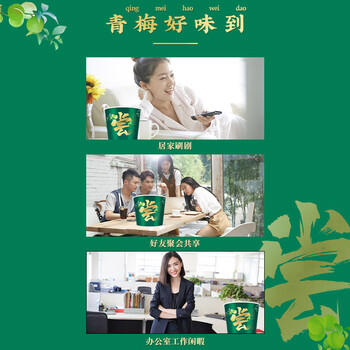 溜溜梅青梅全家桶600g西梅雪梅话梅杨梅乌梅健康休闲零食囤货大礼包 /休闲食品 /蜜饯果干 /梅子干 商品图4