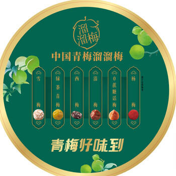 溜溜梅青梅全家桶600g西梅雪梅话梅杨梅乌梅健康休闲零食囤货大礼包 /休闲食品 /蜜饯果干 /梅子干 商品图3