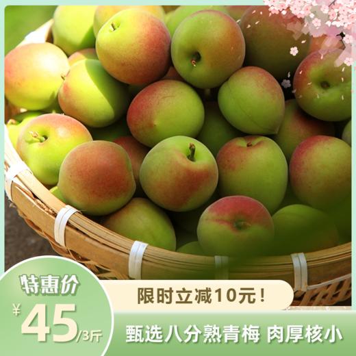 2026诏安老树青梅 | 新鲜上市产地直发 甄选八分熟青梅 肉厚核小 果形圆润 大小均匀有光泽 人工采摘现发 胭脂梅 商品图0