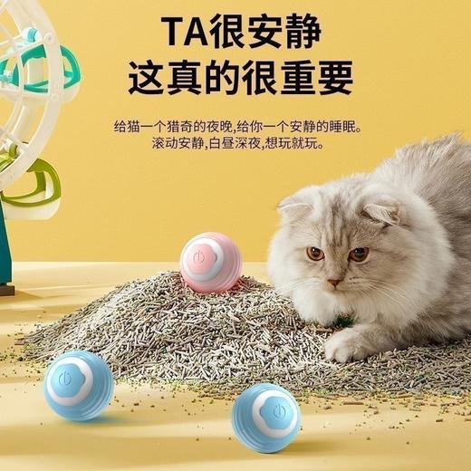 【智能避障运动、TPU软胶安全材质】宠物猫咪玩具智能滚滚球自嗨解闷球神器耐咬逗猫玩具无尘宠物用品.TA 商品图2