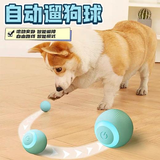 【智能避障运动、TPU软胶安全材质】宠物猫咪玩具智能滚滚球自嗨解闷球神器耐咬逗猫玩具无尘宠物用品.TA 商品图3