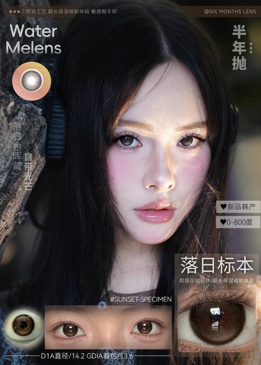 watermelens半年抛  落日标本/黑胶唱片 棕/黑灰 14.2mm 含硅水凝胶 商品图1