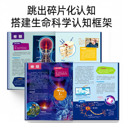 德国少年儿童人体大百科 商品图4