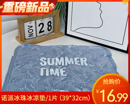 【预售-4月24日配送】诺派冰珠冰凉垫/1片（39*32cm） 商品图0