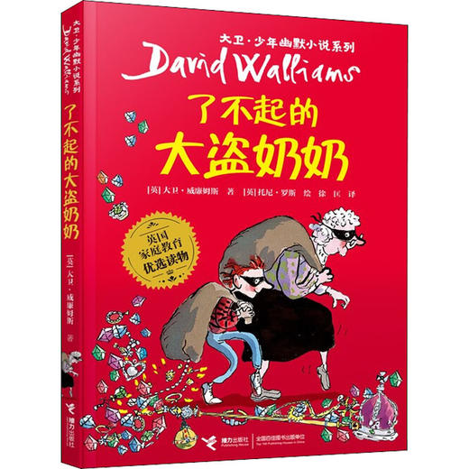 了不起的大盗奶奶 商品图0