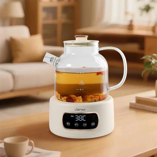 联创 花茶壶 DF-EP0361M 玻璃煮茶器养生烧水壶小型电陶炉 商品图1
