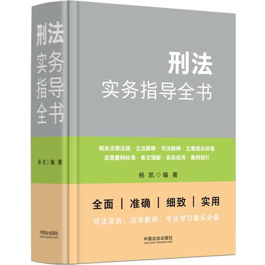 刑法实务指导全书 商品图0
