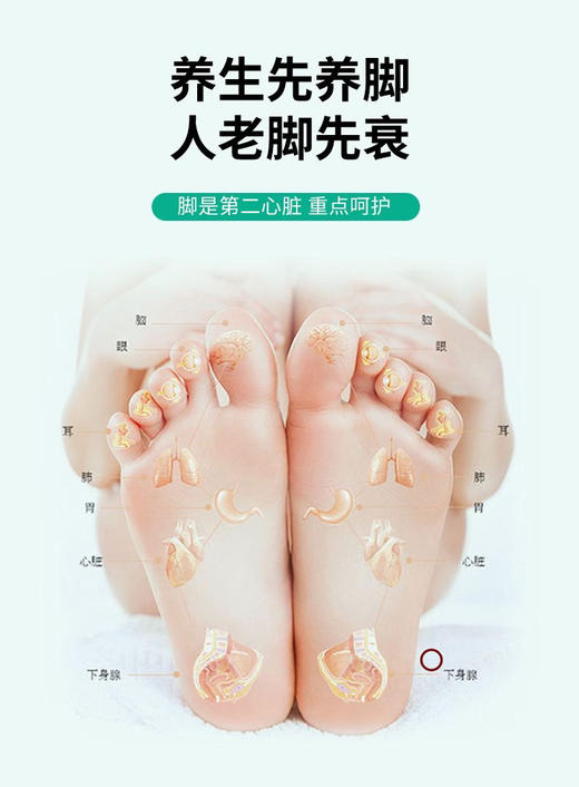 豫草堂-排湿/轻姿/舒络 足浴液(40ml*10包)泡脚液 商品图2