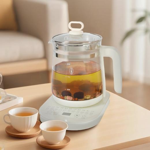 联创 养生壶 DF-EP0886M 大容量电炖壶煮茶保温多功能茶壶 商品图0