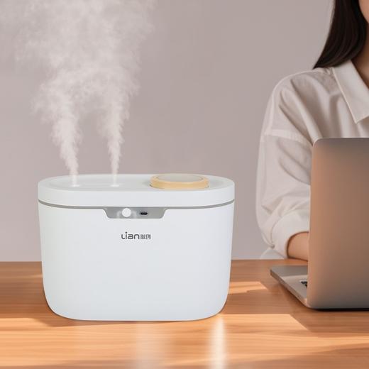 联创 双喷加湿器 DF-HU0902M 双口喷雾加湿器家用大容量 商品图2