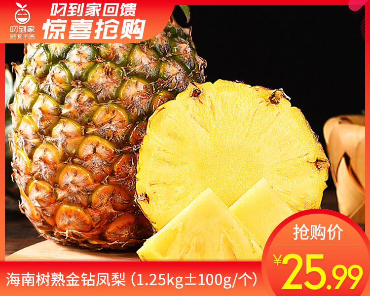 海南树熟金钻凤梨（1.25kg±100g/个）