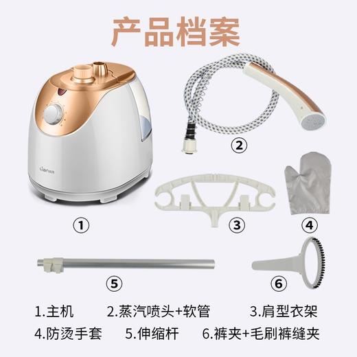 联创 多功能蒸汽挂烫机 DF-DY1602M 立式挂烫机家用熨烫衣服除皱 商品图2