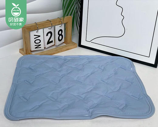 【预售-4月24日配送】诺派冰珠冰凉垫/1片（39*32cm） 商品图4