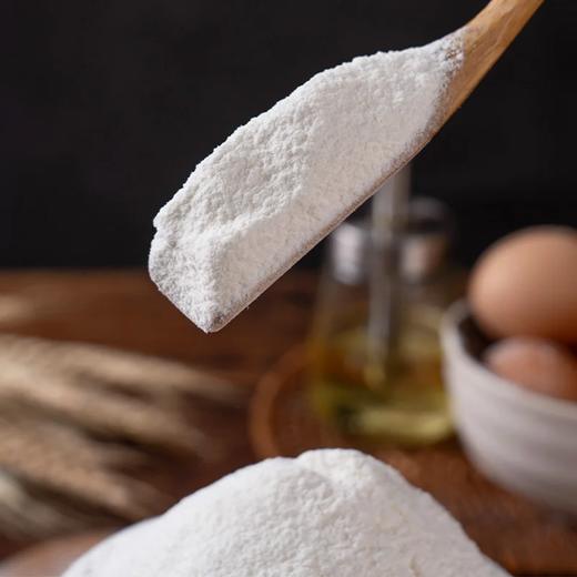 麦德龙 麦臻选澳麦雪花粉（小麦粉）5kg 商品图3