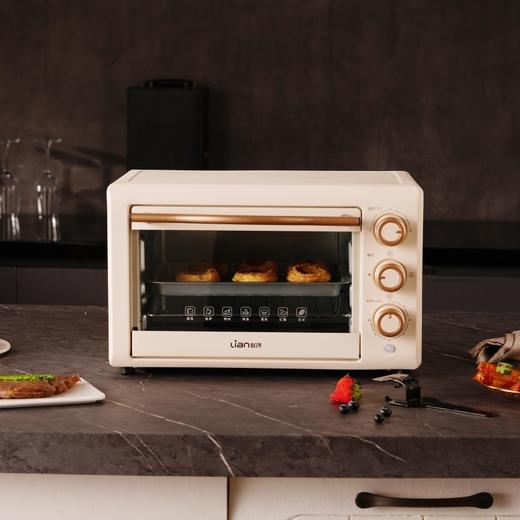 联创 电烤箱 DF-OV316M 独立控温家用烘焙小型电烤炉 商品图1