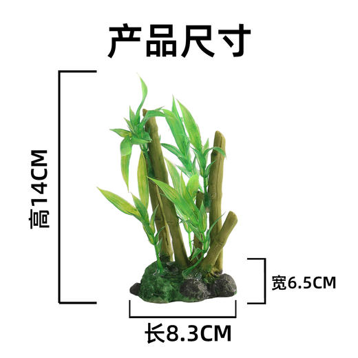 造景大师系列—唯美【劲竹】 随手一放即可绽放唯美！ 商品图2