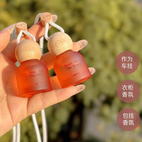 一路苹安车载香薰香薰挂件-纪念日百货门店同款171599249