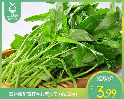 【叼鲜蔬】漳州新鲜青杆空心菜/1份（约300g） 商品图0