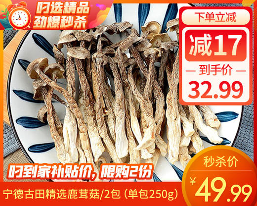 【到手2包】宁德古田精选鹿茸菇/2包（单包250g）限购2份生产日期：4月 商品图0