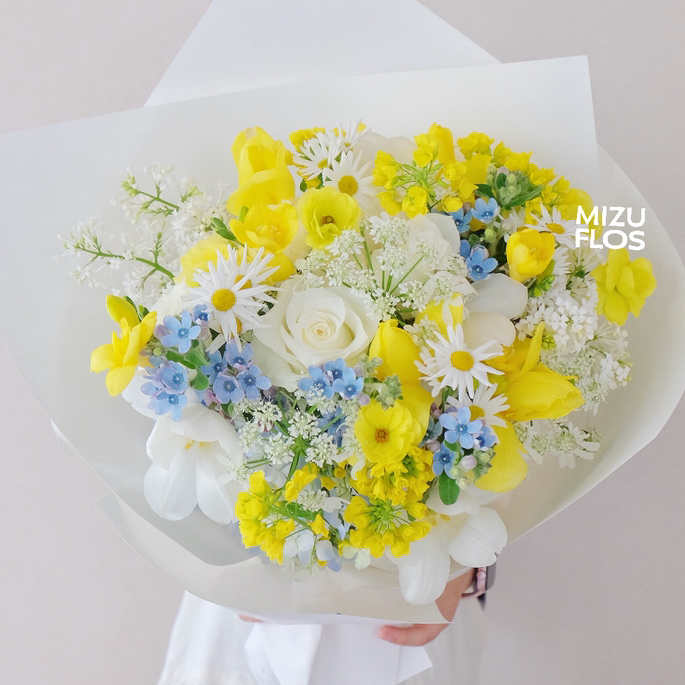 / 晴 光 岛 屿 /（今日现花）