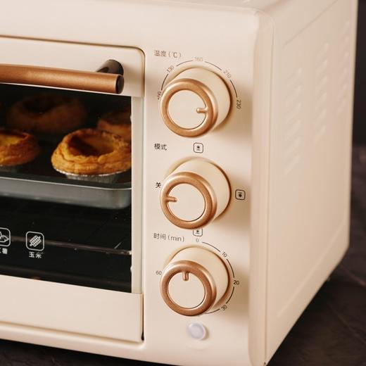 联创 电烤箱 DF-OV316M 独立控温家用烘焙小型电烤炉 商品图4
