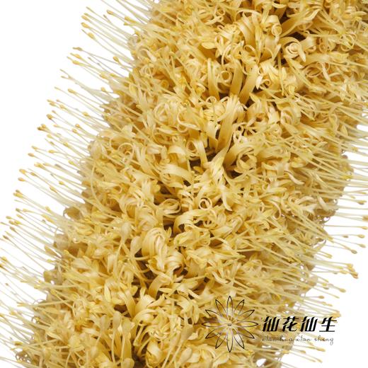 叶材 | 金丝佛塔 商品图3