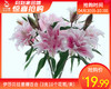 【预售-4月24日配送】伊莎贝拉重瓣百合（3支10个花苞/束） 商品缩略图0