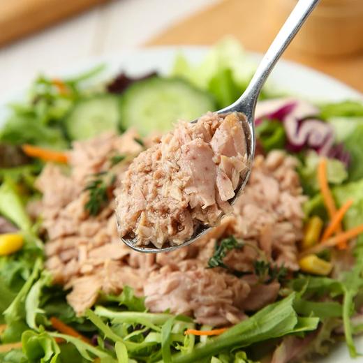 麦德龙 Metro Chef油浸金枪鱼块罐头 160g*3 商品图3