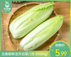 【叼鲜蔬】云南新鲜龙牙白菜/1份（约600g） 商品缩略图0