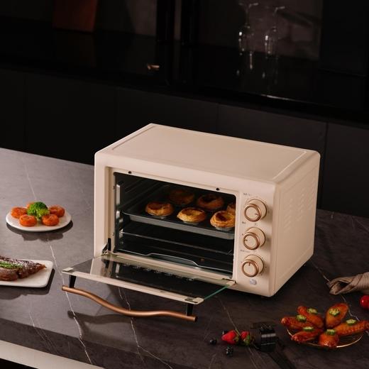 联创 电烤箱 DF-OV316M 独立控温家用烘焙小型电烤炉 商品图2