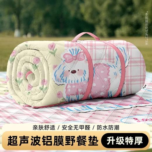 【升级特厚！超声波野餐垫】 加厚帐篷户外地垫 野外防水防潮垫 便携折叠草坪露营垫 可机洗的野餐垫 商品图0