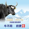 有机纯牦牛乳粉 | 红原（买一送一） 商品缩略图3