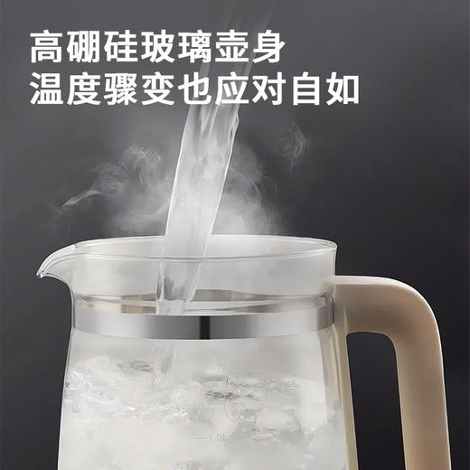 联创 养生壶 DF-EP0881M 煮茶器电炖壶多功能保温花茶壶 商品图2