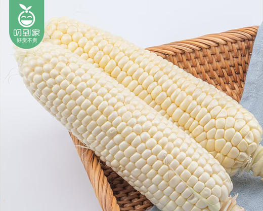水果牛奶玉米（500g±30g/份） 商品图1