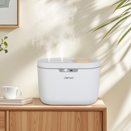 联创 双喷加湿器 DF-HU0902M 双口喷雾加湿器家用大容量 商品图1