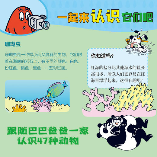 巴巴爸爸环游世界系列 奇遇篇(全5册) 商品图1