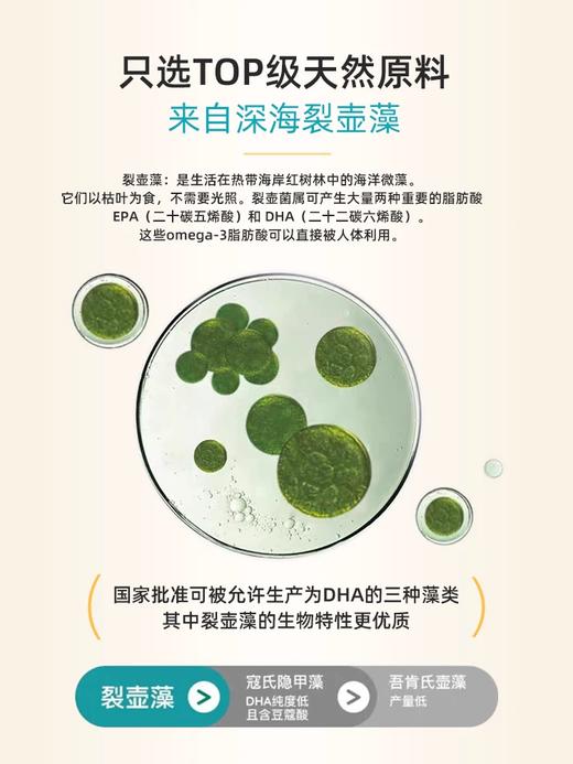 德国莱德宝lactobact海藻油DHA儿童成人omega3 90粒【德国直邮 下单请提供身份证正反面照片】 商品图2