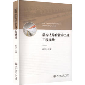盾构法综合管廊土建工程实践