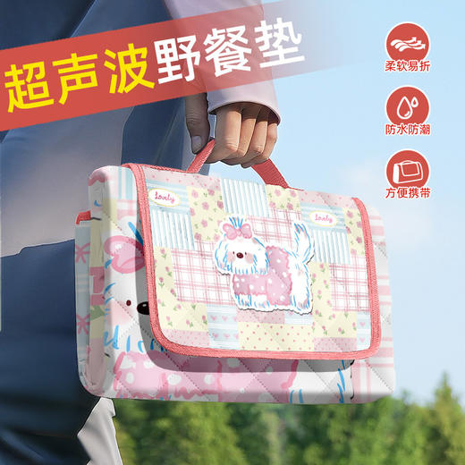 【升级特厚！超声波野餐垫】 加厚帐篷户外地垫 野外防水防潮垫 便携折叠草坪露营垫 可机洗的野餐垫 商品图1