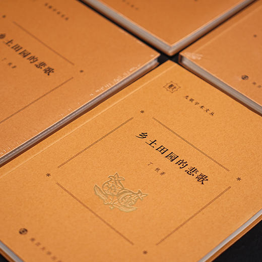 乡土田园的悲歌 //九歌学术文丛   丁帆 著 商品图4